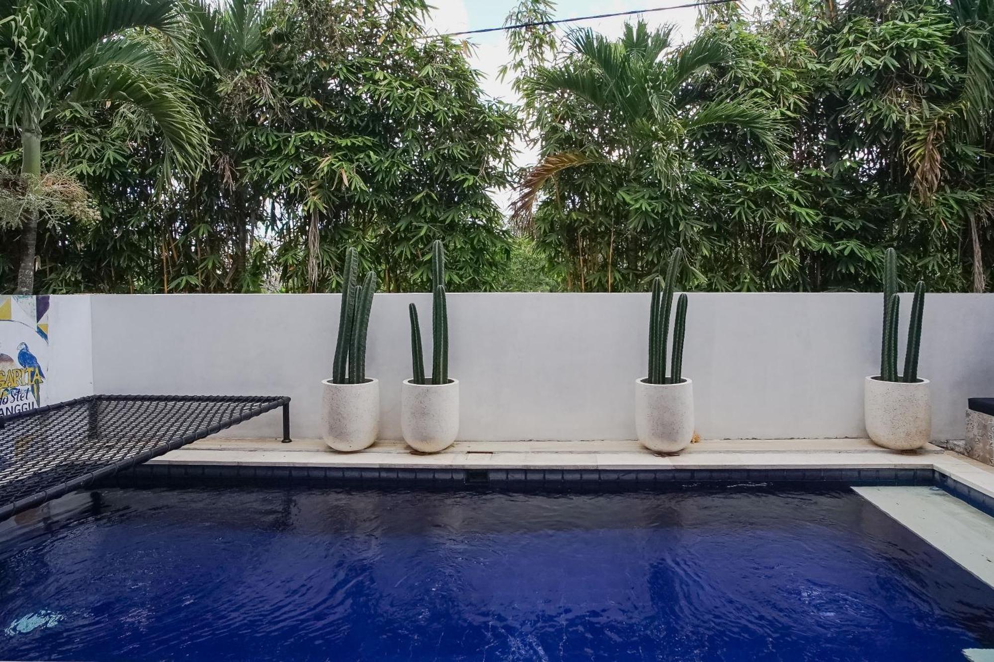 Margarita Surf Hostel Canggu Екстериор снимка